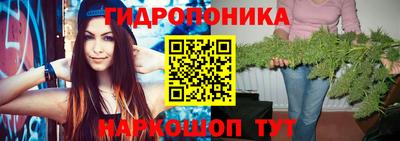 a pvp Сланцы