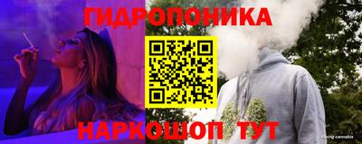 эйфоретик Славгород
