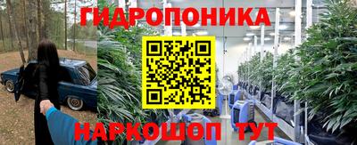 эйфоретик Славгород