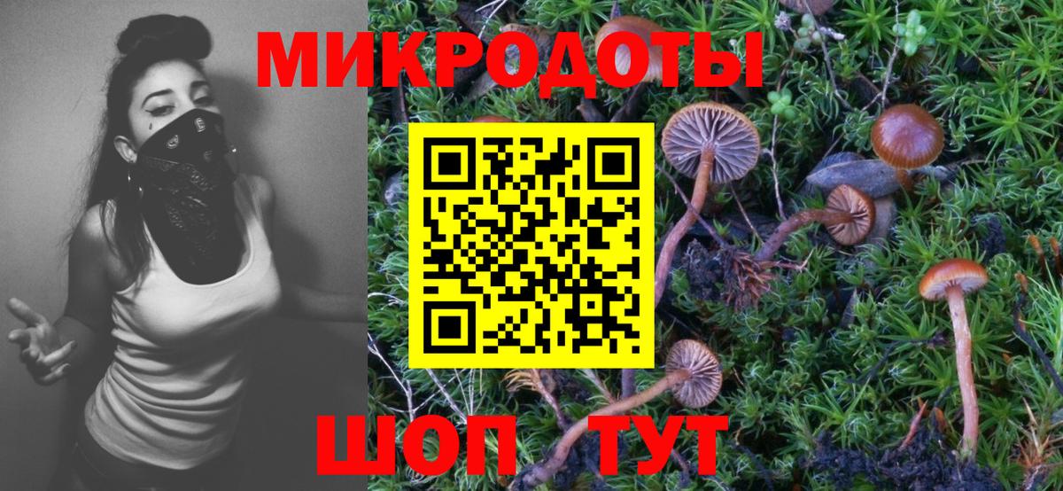 Псилоцибиновые грибы Psilocybine cubensis  Вход с VPN  Артём 
